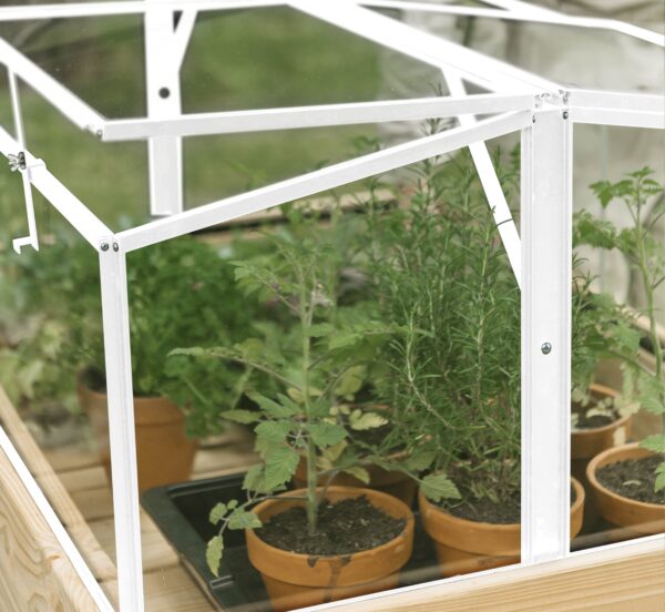 Broeikas Parsley Planter small wit 4 mm veiligheidsglas