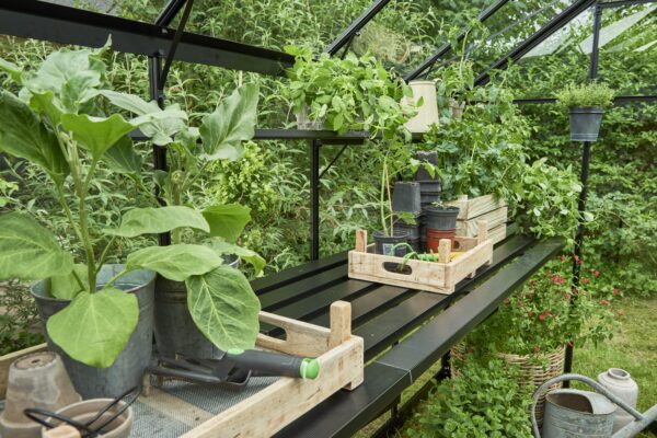 Kweektafel Birdlip 46, geintegreerd, zwart - Afbeelding 3