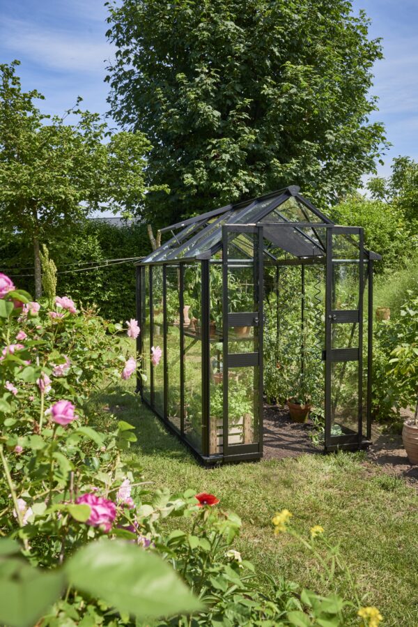 Tuinkas Birdlip 48 zwart 3 mm veiligheidsglas