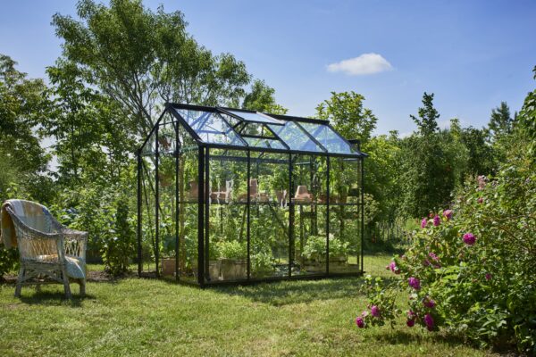 Tuinkas Birdlip 48 zwart 3 mm veiligheidsglas - Afbeelding 2