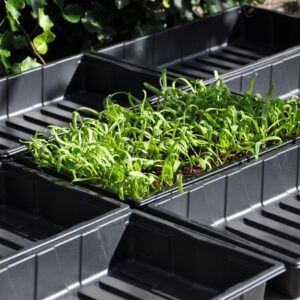Seed tray 37,5 x 23 x 6 cm - set a 12