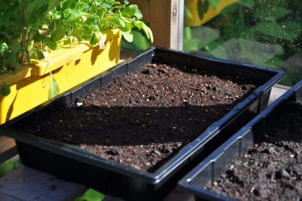 Seed tray 37,5 x 23 x 6 cm - set a 12 - Afbeelding 5